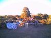 Albany Bulb