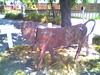 Cow