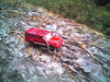 Red Jeep Travel Bug